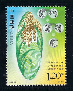 2023-22 Ann 50th Breeding World First Hybrid Rice