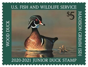US #JDS28 2020 Junior Duck Wood Duck - MNH